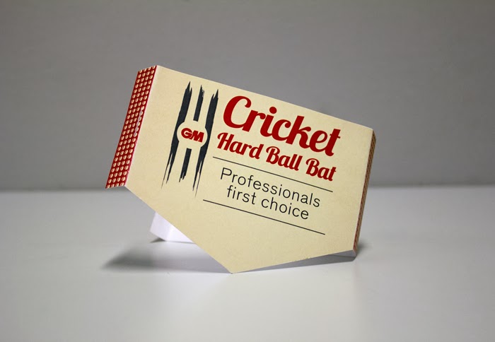 GM Cricket10
