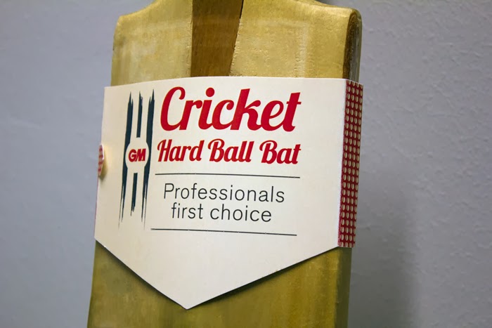 GM Cricket11