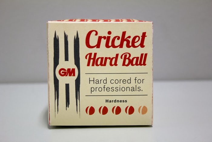 GM Cricket4