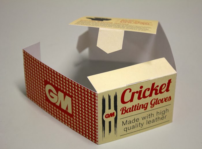 GM Cricket8