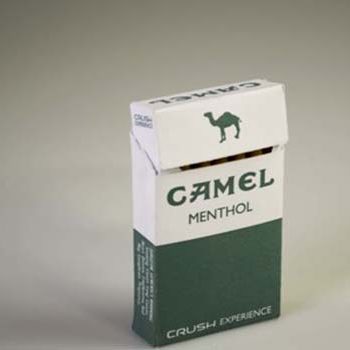 Camel Menthol