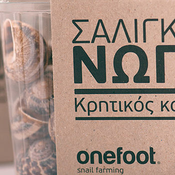 Onefoot