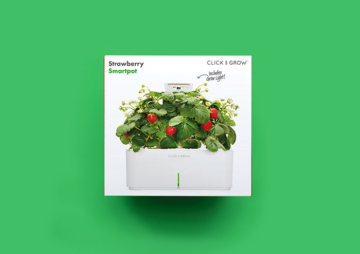 Click and Grow Strawberry Smartpot6