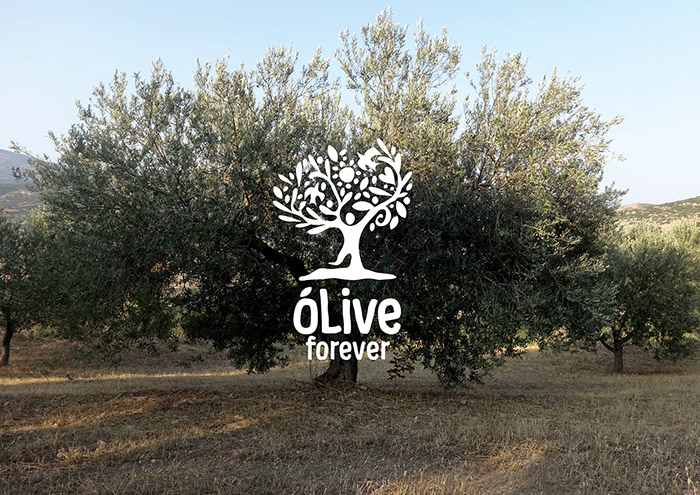 Olive Forever