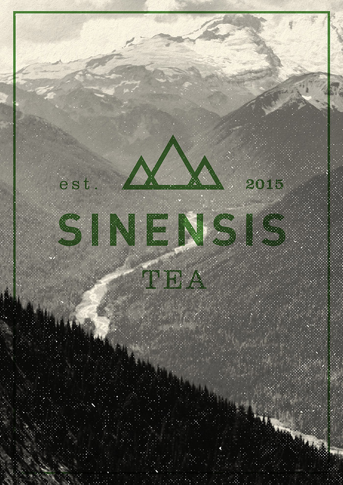 Sinensis Tea6
