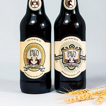 Pavo Beer