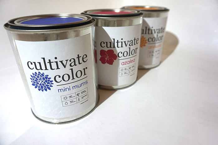 Cultivate Color