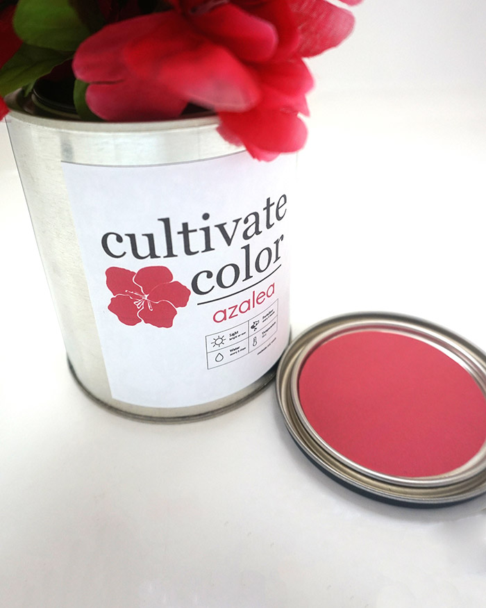 Cultivate Color3