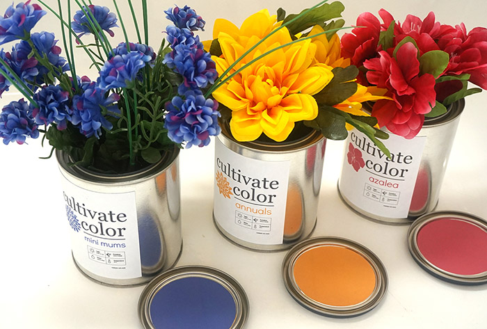Cultivate Color6