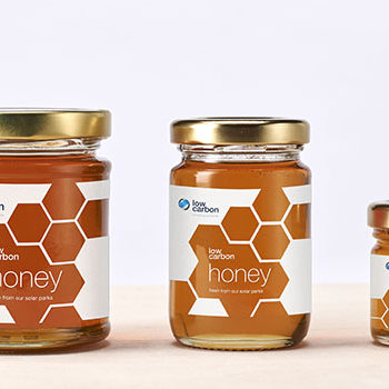 This week is National Honey Week, and PWW are proud to reveal our packaging design for Low Carbon’s honey jars. Low Carbon invests in, owns, and operates renewable energy projects, embracing solar photovoltaic,