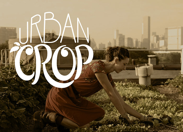 Urban Crop
