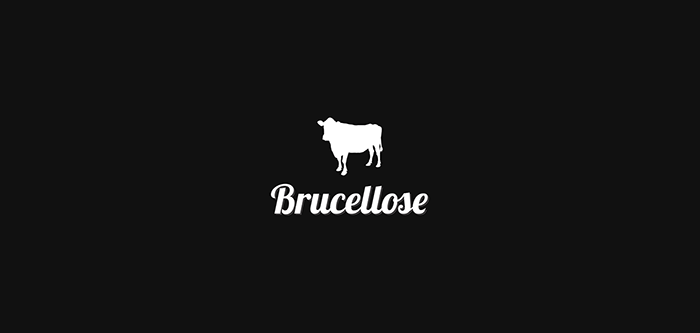 Brucellose