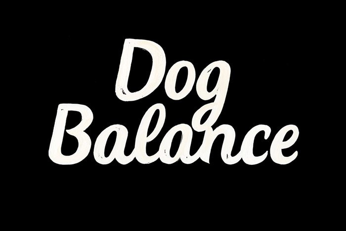 Dog Balance3