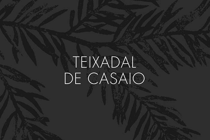 Teixada