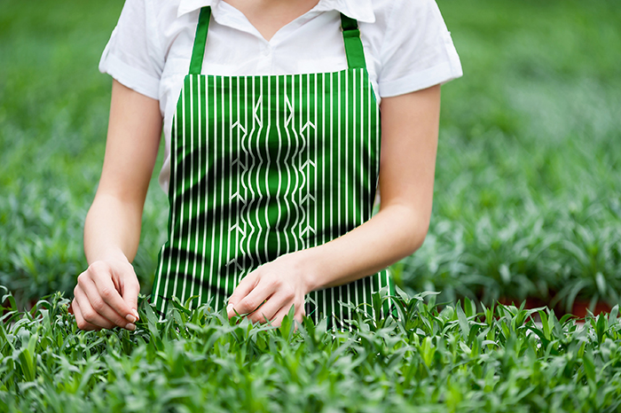 Making the world green. Cropped image of woman in apron taking c